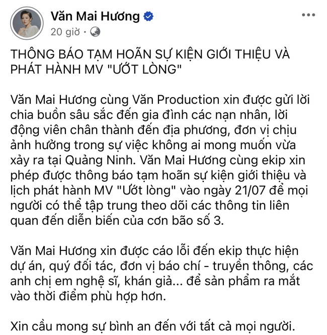 Dàn sao Việt gửi lời xin lỗi, chủ động hoãn sự kiện - cả showbiz lặng người xót xa khi nghe tin vụ lật tàu ở Hạ Long- Ảnh 11.