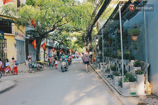 Nhóm sinh viên Hà Nội biến bãi rác dọn 10 năm không sạch thành một vườn hoa - Ảnh 3.