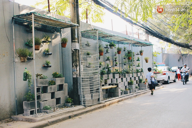 Nh&oacute;m sinh vi&ecirc;n H&agrave; Nội biến b&atilde;i r&aacute;c dọn 10 năm kh&ocirc;ng sạch th&agrave;nh một vườn hoa - Ảnh 18.