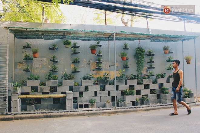 Nhóm sinh viên Hà Nội biến bãi rác dọn 10 năm không sạch thành một vườn hoa - Ảnh 2.
