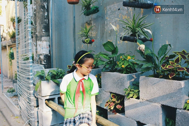 Nhóm sinh viên Hà Nội biến bãi rác dọn 10 năm không sạch thành một vườn hoa - Ảnh 10.
