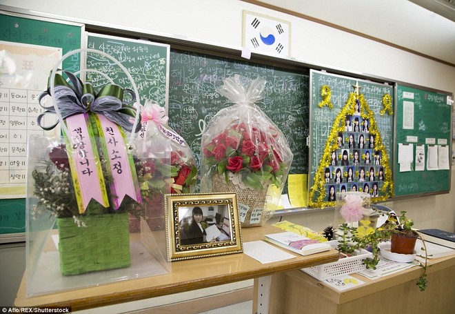 2 năm trôi qua sau vụ chìm phà Sewol, nỗi đau thương vẫn phủ bóng những lớp học Hàn Quốc - Ảnh 3.