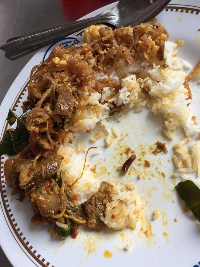 Đang ăn ngon l&agrave;nh, kh&aacute;ch h&agrave;ng t&aacute; hỏa ph&aacute;t hiện ra nửa con cuốn chiếu trong đĩa cơm, vậy nửa kia ở đ&acirc;u? - Ảnh 2.