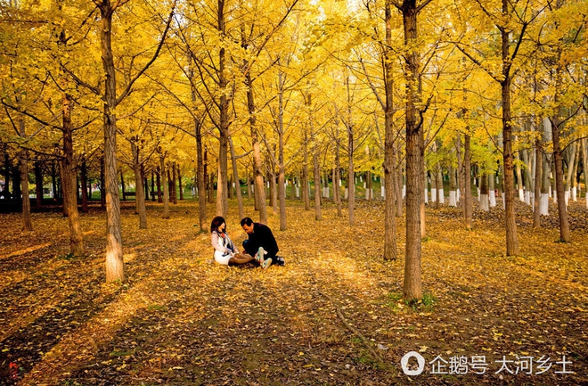Thấy người đ&agrave;n &ocirc;ng mờ &aacute;m, chụp h&igrave;nh c&ocirc; g&aacute;i trẻ trong rừng, nhiếp ảnh gia tiến lại hỏi mới biết được sự thật - Ảnh 2.