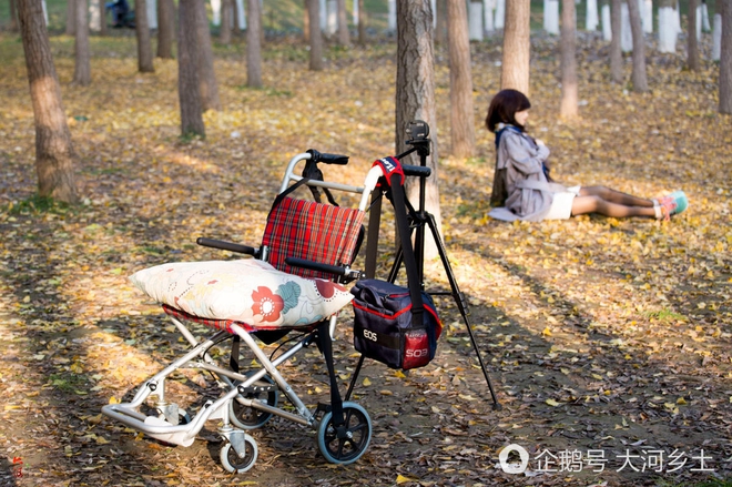 Thấy người đ&agrave;n &ocirc;ng mờ &aacute;m, chụp h&igrave;nh c&ocirc; g&aacute;i trẻ trong rừng, nhiếp ảnh gia tiến lại hỏi mới biết được sự thật - Ảnh 1.