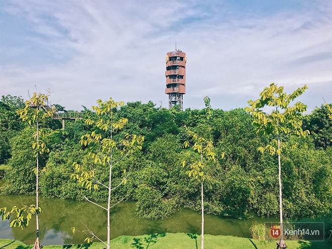 Đến Bangkok, đừng quên ghé khu rừng thần tiên được xây từ... bãi rác của người Thái - Ảnh 6.