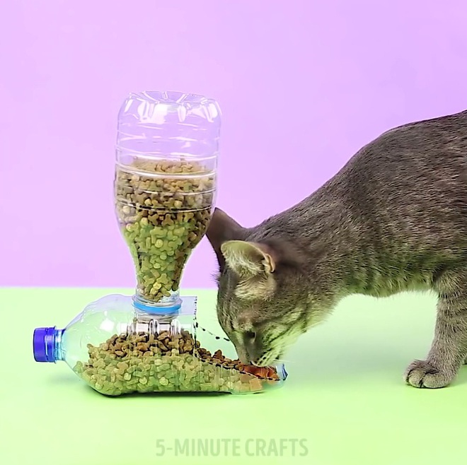 Tự làm hệ thống đựng thức ăn thông minh cho mèo cưng chỉ với 2 chai nhựa - Ảnh 8.
