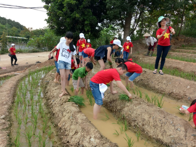 Công viên Heritist Park - Điểm đến lí tưởng dịp tết thiếu nhi 01/06 - Ảnh 4.