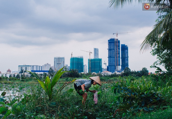 Chùm ảnh: Cuộc sống ở bán đảo Thanh Đa - Một miền nông thôn tách biệt dù chỉ cách trung tâm Sài Gòn vài km - Ảnh 2.