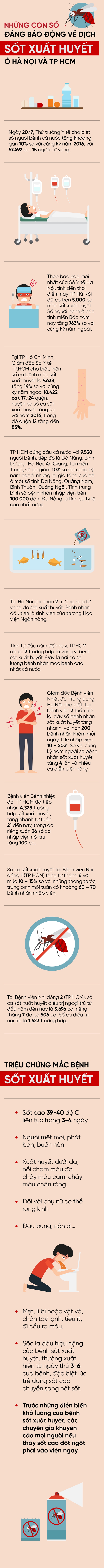 Infographic: Những con số đáng báo động về dịch sốt xuất huyết ở Sài Gòn và Hà Nội - Ảnh 1.