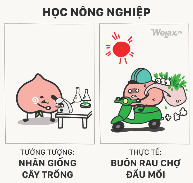10 sự thật gi&uacute;p bạn mất sạch niềm tin v&agrave;o nghề nghiệp tương lai - Ảnh 19.
