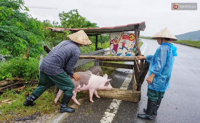 Trận lũ lịch sử hoành hành miền Bắc: Những câu chuyện đau lòng và tình người nơi lũ quét qua - Ảnh 10.