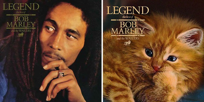 Thay đám mèo cute vào hình ca sĩ trên bìa album, cuối cùng hiệu ứng từ chúng còn hiệu quả hơn bản gốc - Ảnh 3.