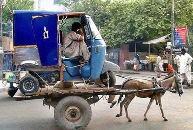 16 khoảnh khắc chứng tỏ Ấn Độ đ&uacute;ng l&agrave; th&aacute;nh địa của những kẻ lầy - Ảnh 7.