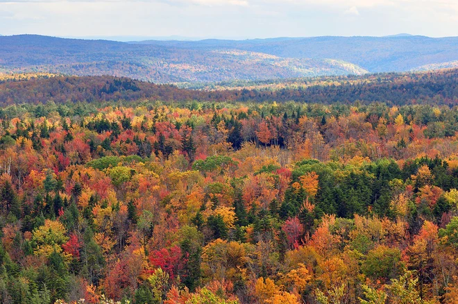 1280px-Vermont_fall_foliage_hogback_mountain