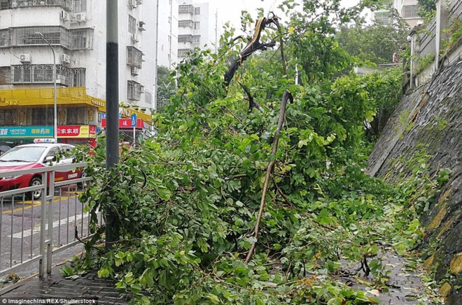 Chùm ảnh: Người dân Trung Quốc hoảng loạn chống chọi với siêu bão mạnh nhất trong năm - Ảnh 10.