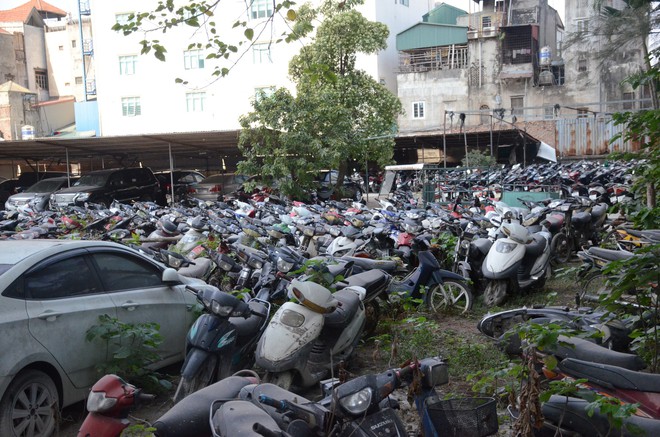 Không ai đến nhận, ô tô tiền tỷ và hàng ngàn xe máy phơi mưa nắng nhiều năm tại bãi xe vi phạm ở Hà Nội - Ảnh 3.