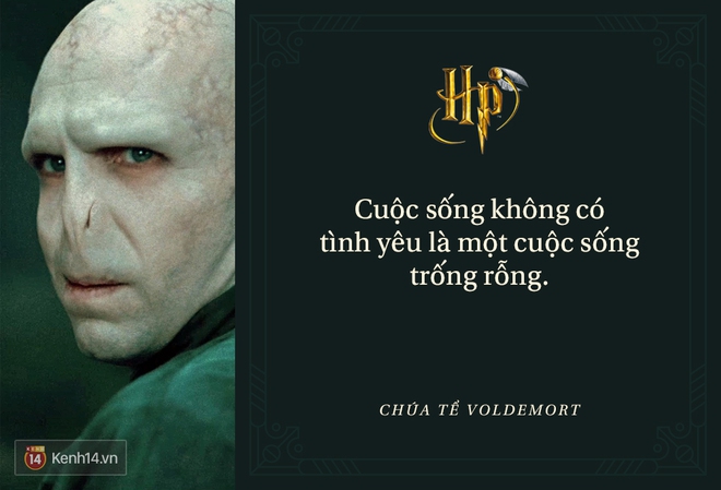 Đã 2 thập kỷ nhưng fan Harry Potter vẫn luôn nằm lòng những trích dẫn cùng mình lớn lên trong từng trang sách! - Ảnh 31.