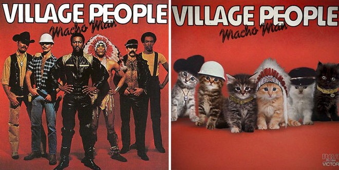 Thay đám mèo cute vào hình ca sĩ trên bìa album, cuối cùng hiệu ứng từ chúng còn hiệu quả hơn bản gốc - Ảnh 17.