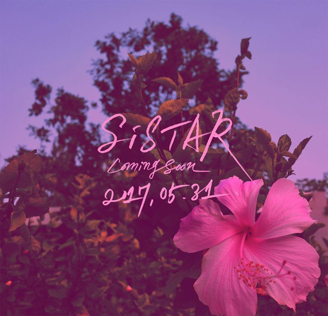 Sau T-ara, đến lượt SISTAR sắp đường ai nấy đi? - Ảnh 5.