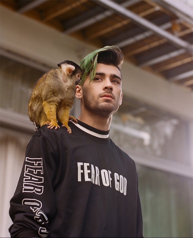 Zayn solo th&agrave;nh c&ocirc;ng nhất, nhưng Harry mới c&oacute; hit được th&iacute;ch nhất - Ảnh 4.