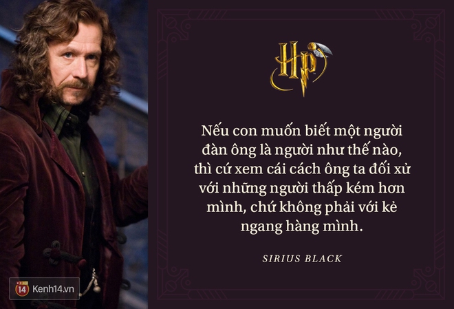 Đã 2 thập kỷ nhưng fan Harry Potter vẫn luôn nằm lòng những trích dẫn cùng mình lớn lên trong từng trang sách! - Ảnh 35.