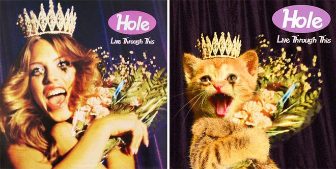 Thay đám mèo cute vào hình ca sĩ trên bìa album, cuối cùng hiệu ứng từ chúng còn hiệu quả hơn bản gốc - Ảnh 19.