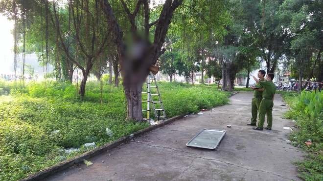 Người đàn ông tử vong trong tư thế treo cổ tại công viên ở Sài Gòn - Ảnh 1.