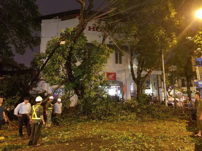 Hà Nội: Cây xanh gãy đổ đè vào xe và người đi đường sau mưa giông gió lớn - Ảnh 1.