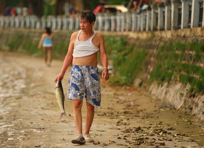 Hà Nội: Đúng 1 năm sau sự cố, cá lại chết nổi trắng mặt hồ Hoàng Cầu - Ảnh 5.