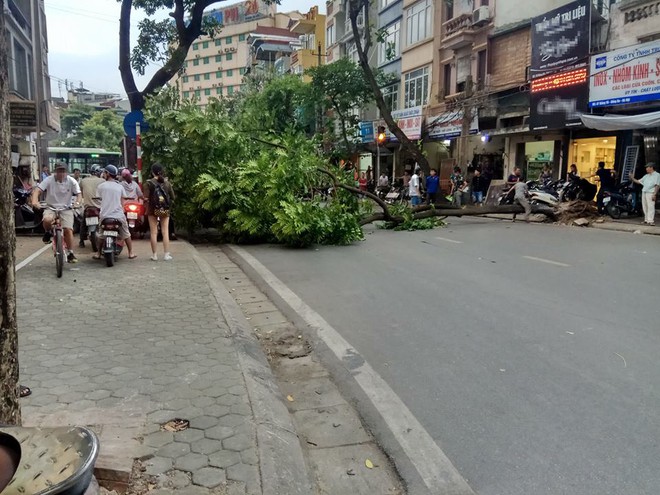 H&agrave; Nội: C&acirc;y lớn đổ sập, mưa b&atilde;o m&ugrave; mịt sau trận gi&ocirc;ng đầu ti&ecirc;n của đợt n&oacute;ng đỉnh điểm - Ảnh 1.