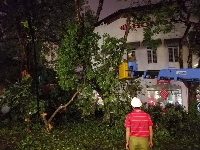 Hà Nội: Cây xanh gãy đổ đè vào xe và người đi đường sau mưa giông gió lớn - Ảnh 2.