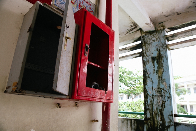 Cảnh u ám bên trong ngôi trường tiểu học 20 tỷ đồng bị bỏ hoang gần 10 năm giữa Sài Gòn - Ảnh 8.