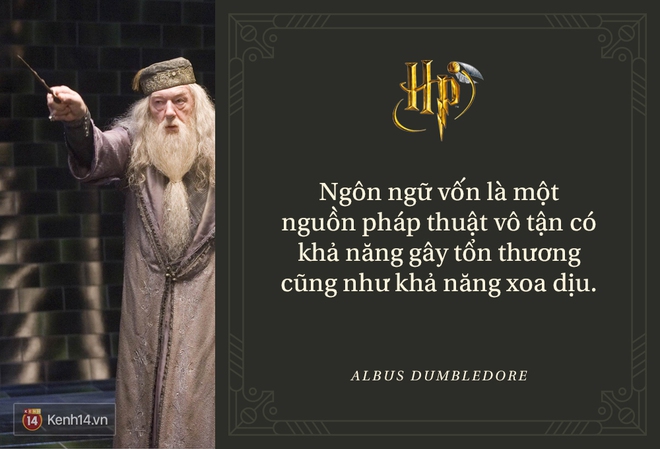 Đã 2 thập kỷ nhưng fan Harry Potter vẫn luôn nằm lòng những trích dẫn cùng mình lớn lên trong từng trang sách! - Ảnh 3.