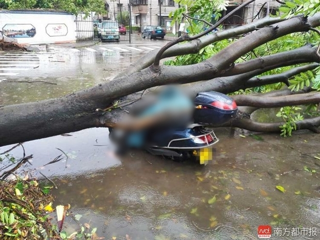 Chùm ảnh: Người dân Trung Quốc hoảng loạn chống chọi với siêu bão mạnh nhất trong năm - Ảnh 13.