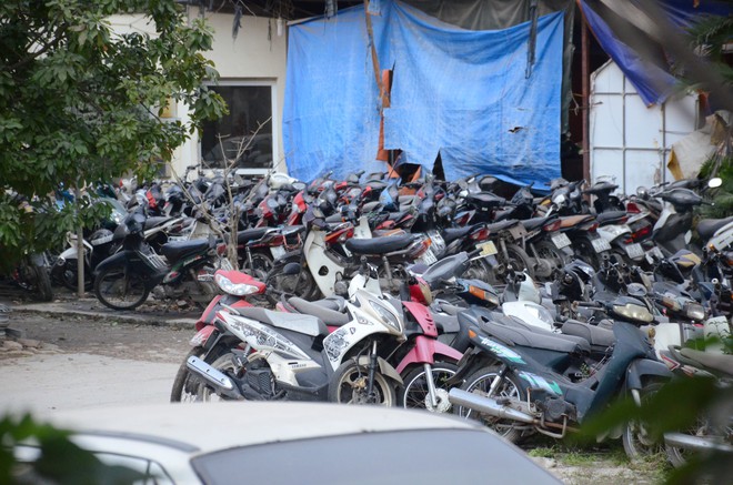 Không ai đến nhận, ô tô tiền tỷ và hàng ngàn xe máy phơi mưa nắng nhiều năm tại bãi xe vi phạm ở Hà Nội - Ảnh 4.