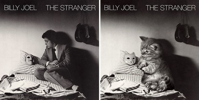 Thay đám mèo cute vào hình ca sĩ trên bìa album, cuối cùng hiệu ứng từ chúng còn hiệu quả hơn bản gốc - Ảnh 21.
