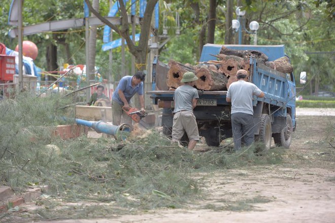 Chùm ảnh: Bãi tắm Cửa Lò tan hoang, thiệt hại nặng nề sau bão số 2 - Ảnh 8.