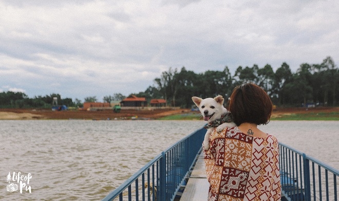 Chuyến đi đầu tiên trong đời của một chú chó - hành trình đáng yêu khiến bạn chỉ muốn dắt cún đi du lịch ngay và luôn! - Ảnh 7.