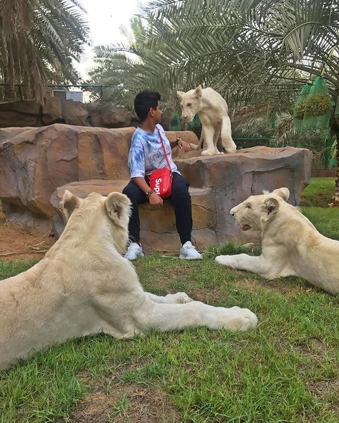Cuộc sống toàn hàng hiệu, siêu xe, thú cưng đặc biệt và làm bạn với người nổi tiếng của cậu ấm Dubai 15 tuổi - Ảnh 4.