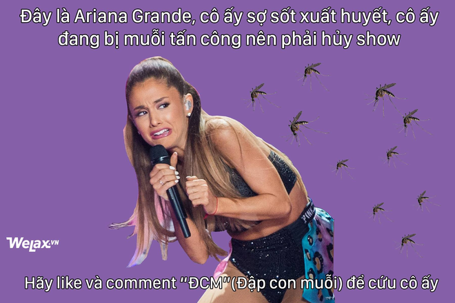 Ảnh chế hot nhất mạng xã hội hôm nay: Ariana Grande hủy show vì... dịch sốt xuất huyết! - Ảnh 1.