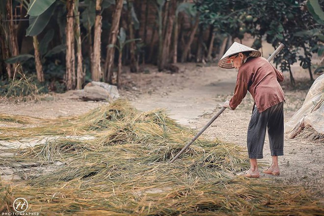 Người mẫu 99 tuổi điệu đà tạo dáng bên hoa cúc họa mi - Ảnh 13.