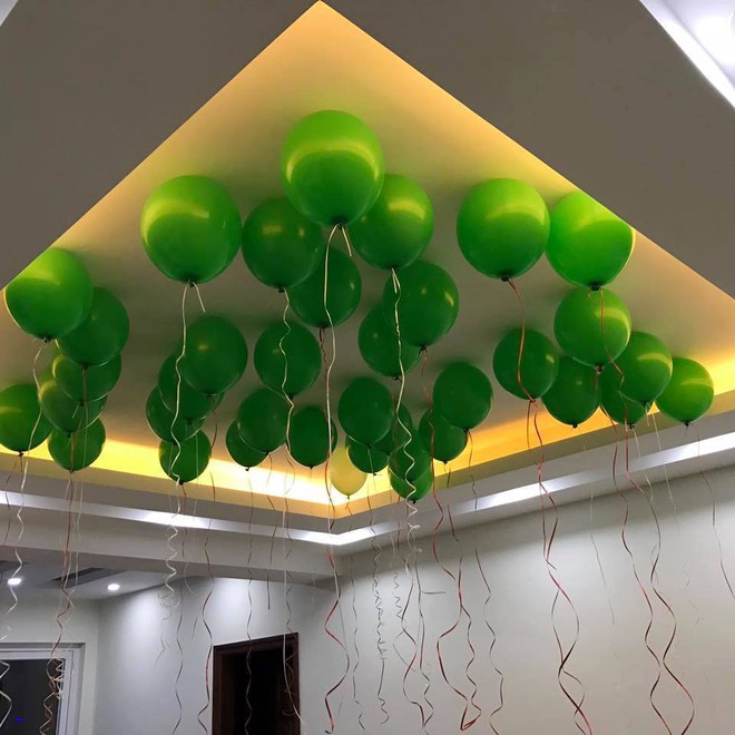 Thầy gi&aacute;o cuồng m&agrave;u xanh l&aacute;, xanh từ đồ đạc tới luận &aacute;n tiến sĩ cũng nghi&ecirc;n cứu về ti&ecirc;u d&ugrave;ng xanh! - Ảnh 2.