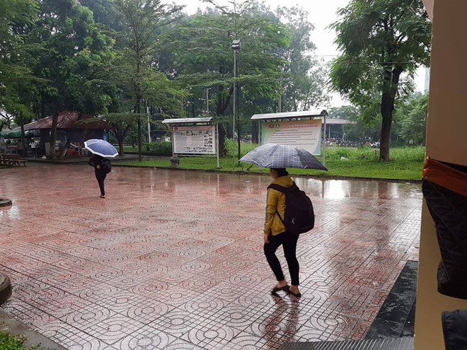 ĐH Nhân văn (TP.HCM): Chuyên gia đội mưa đến buổi chia sẻ, SV chỉ 5 trên tổng 600 người tham gia - Ảnh 2.