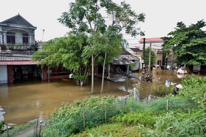 Chùm ảnh: Ninh Bình nhiều nơi nước ngập quá 2m, đường vào khu du lịch Bái Đính bị cô lập - Ảnh 16.