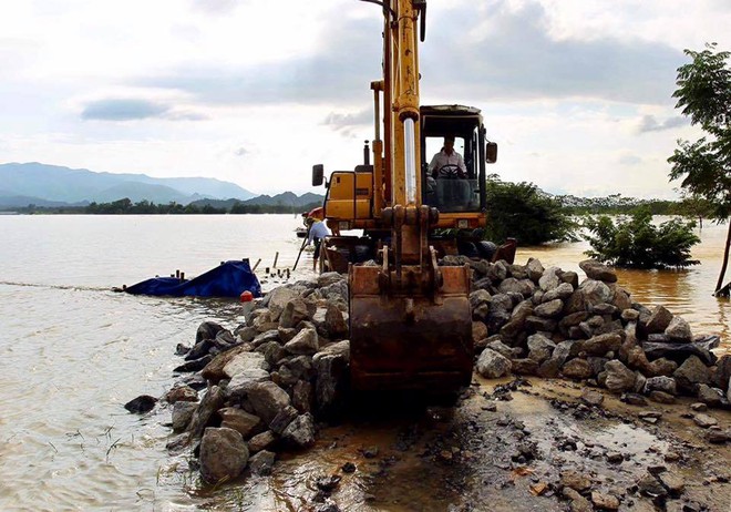 Hà Nội bác tin vỡ đê sông Bùi, một số vị trí chỉ do sạt lở, sụt lún nên bị tràn nước - Ảnh 7.