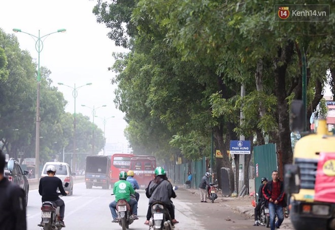 Hà Nội chặt, di dời hơn 1.000 cây ở đường Phạm Văn Đồng - Ảnh 6.