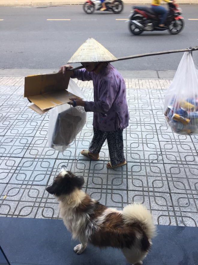 Clip cảm động: Cục v&agrave;ng to bự của b&agrave; cụ nhặt ve chai - Ảnh 2.