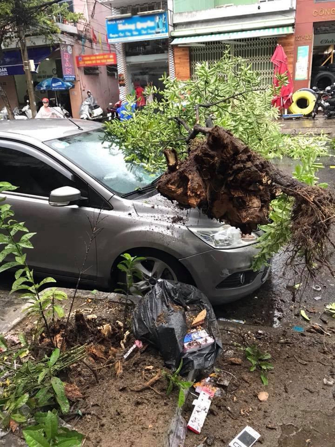 Đà Nẵng: Xe con hứng trọn một cái cây to sau cơn mưa lớn - Ảnh 1.