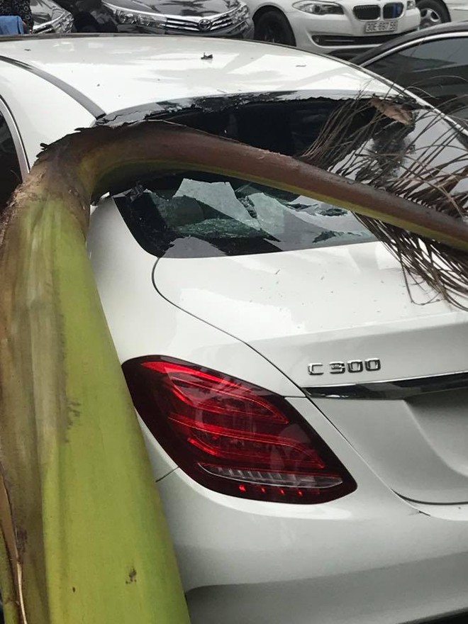 Hà Nội: Xe Mercedes bị mo cau rơi vỡ nát kính khi đang đỗ trong khách sạn - Ảnh 2.